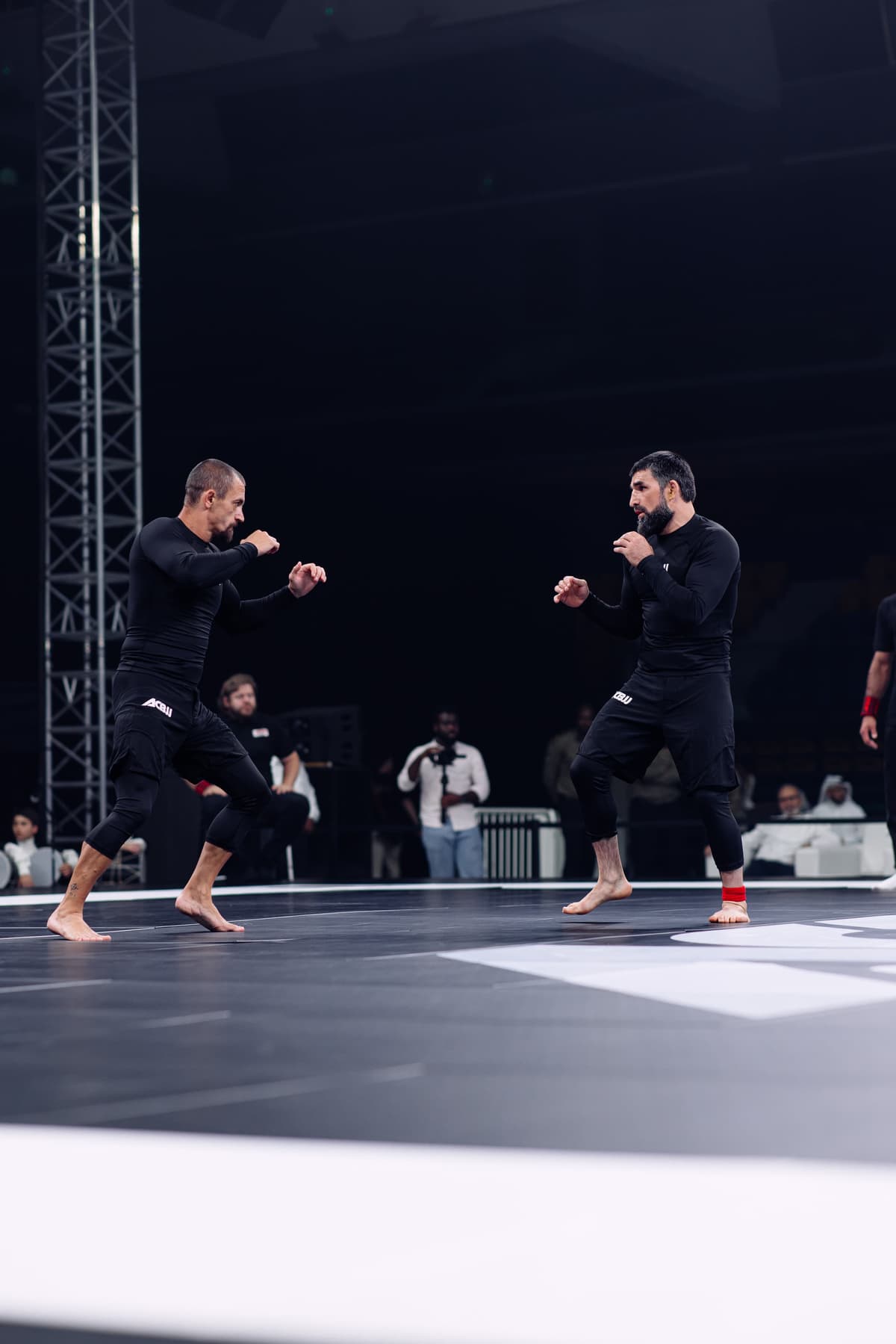 Risto MMA Gallery 13