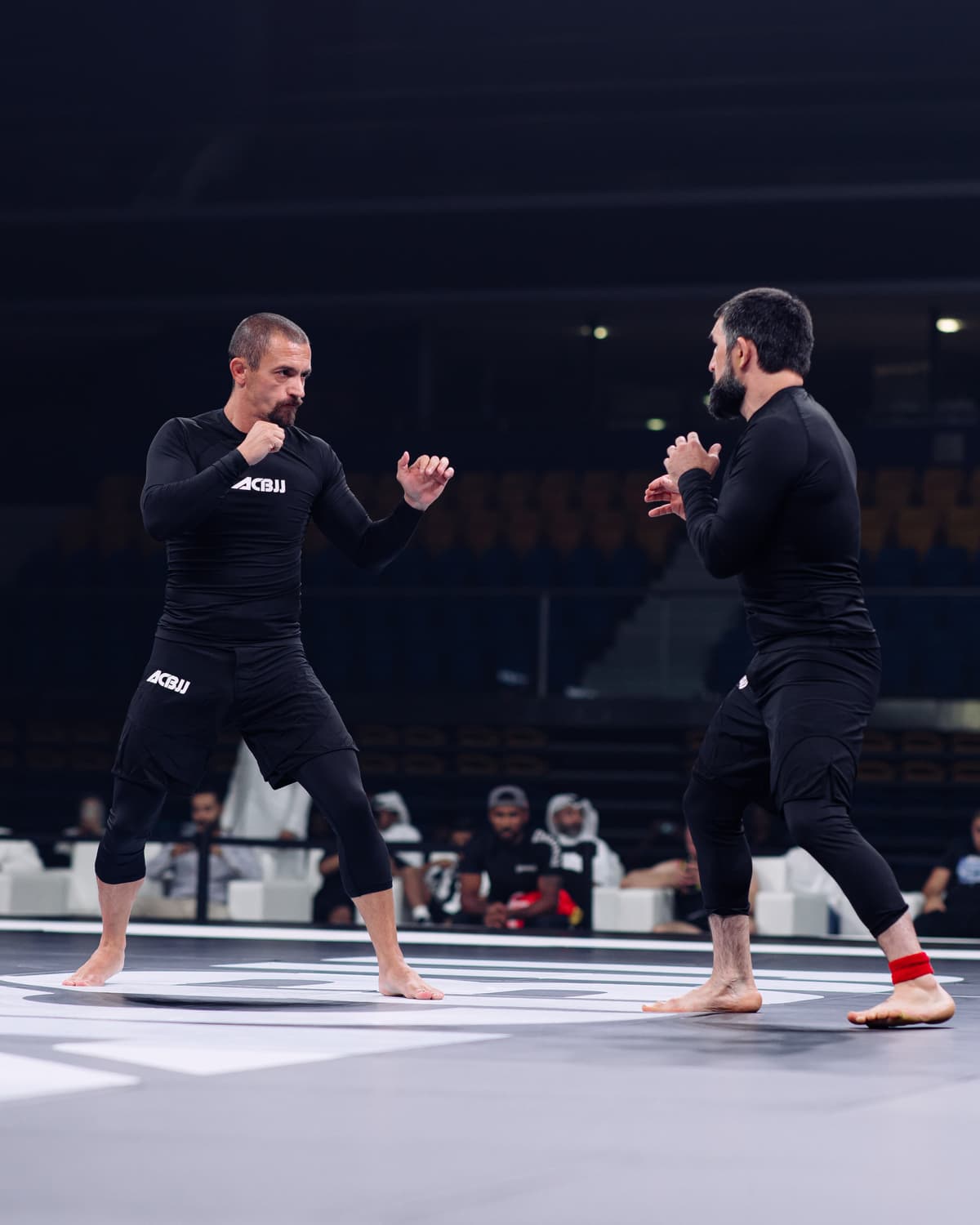 Risto MMA Gallery 15