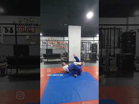 Risto MMA Short