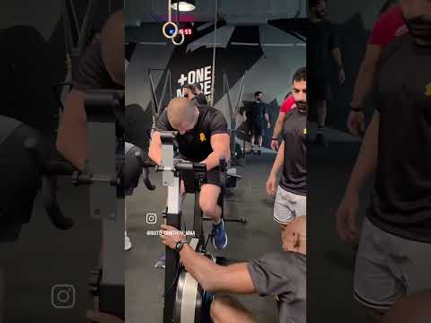 Risto MMA Short