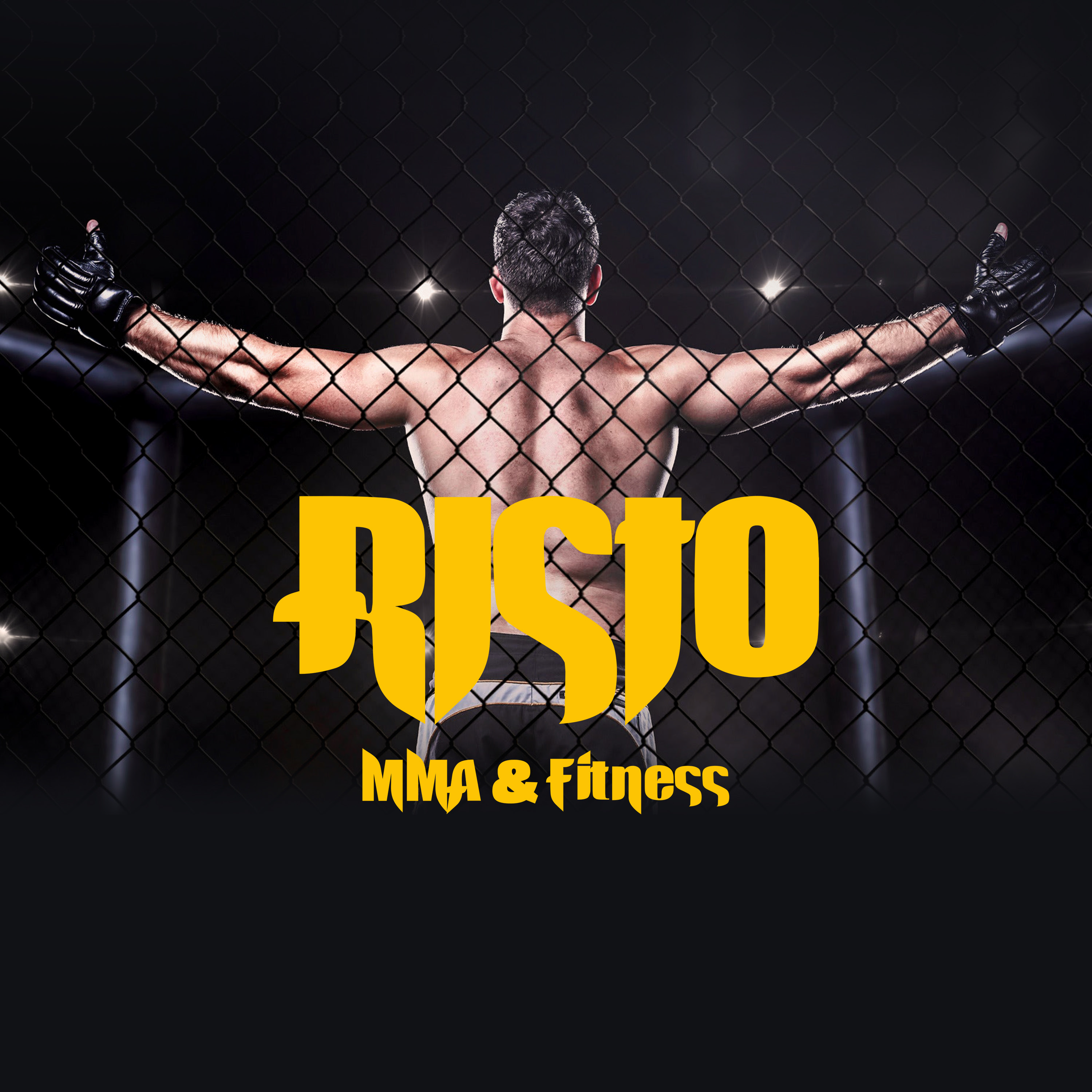 RISTO MMA&FITNESS photo (Gym's own website)